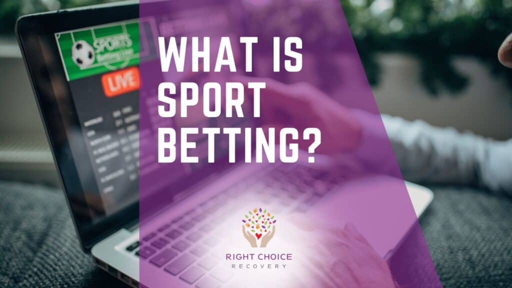 Discover the Best Sportsbook Loyalty Programs 13