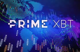 Comprehensive Guide FAQ PrimeXBT UK