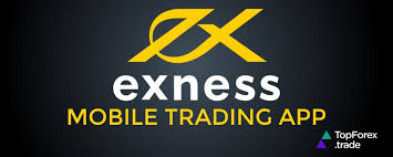 Comprehensive Guide to Exness Trading Instruments