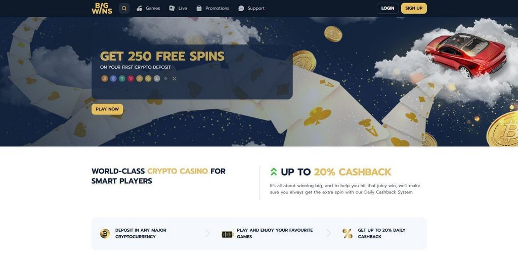 Big Wins Casino Site 2025