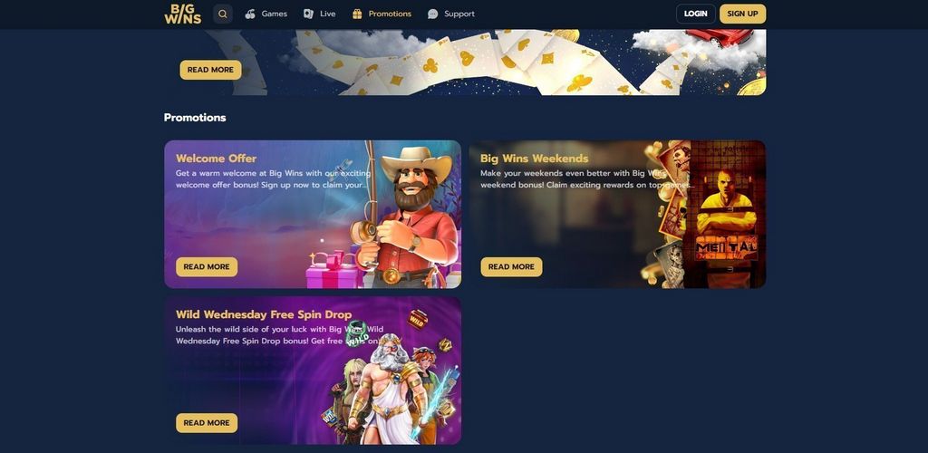 Big Wins Online Casino Evaluation: Software Application